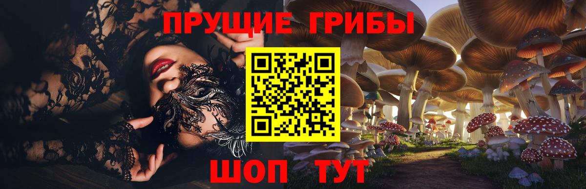 магазин  наркотиков  Псилоцибиновые грибы прущие грибы  Вход с VPN  Семилуки 